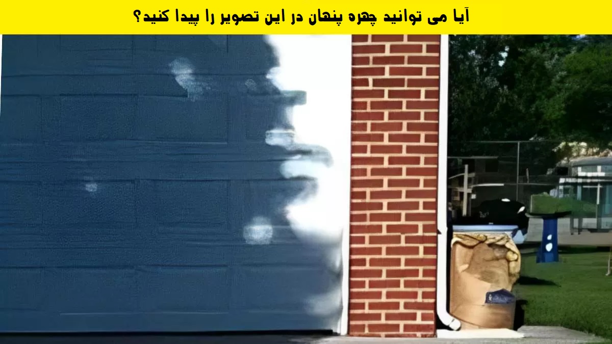 توهم نوری یافتن چهره