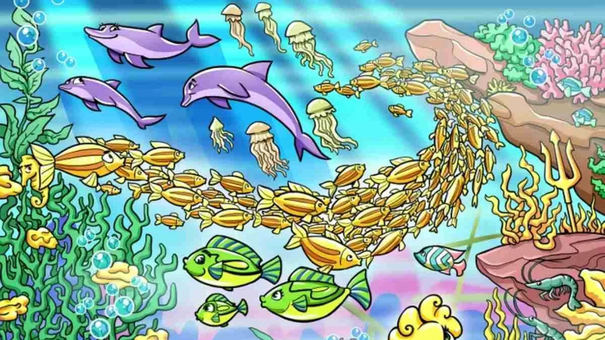 آزمون یافتن اسب دریایی