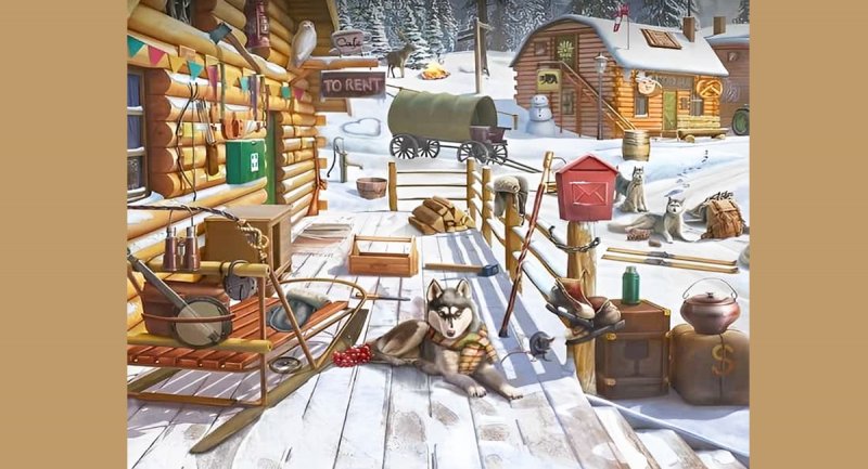 تست بینایی خرس