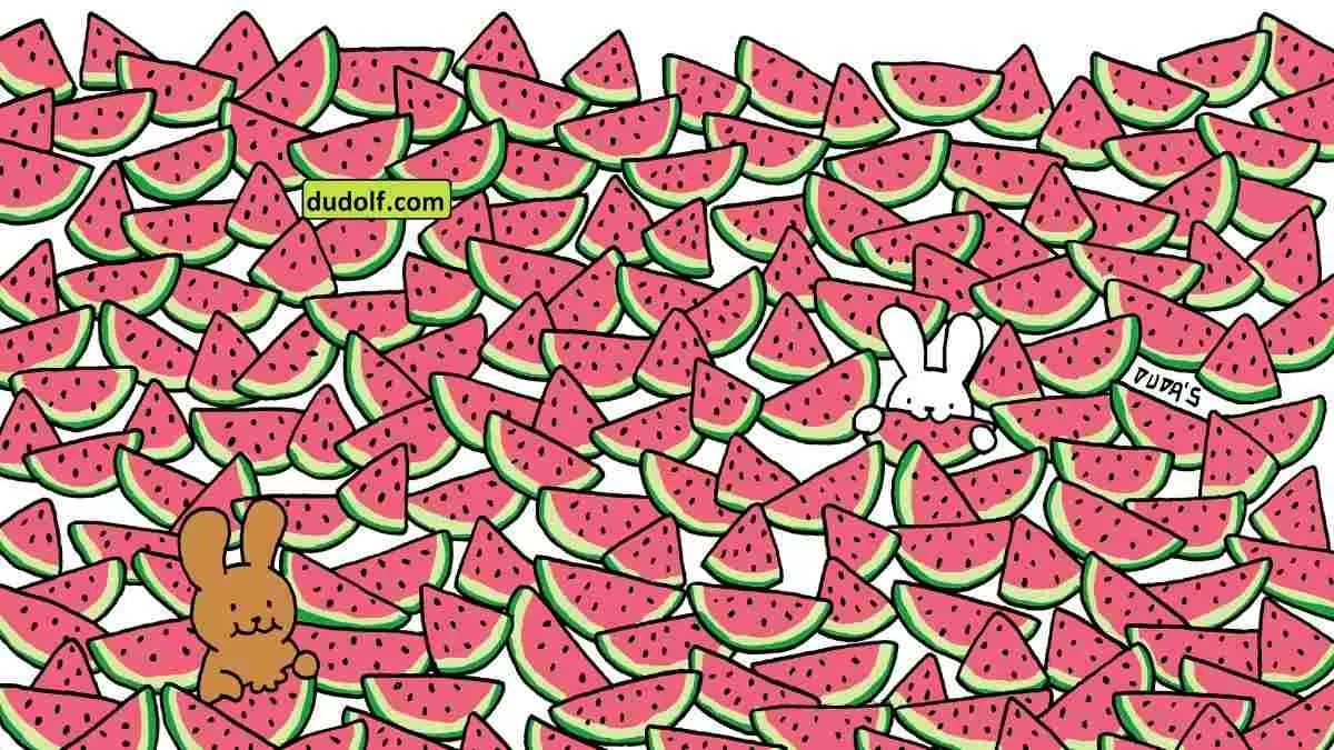 تست بینایی با هندوانه