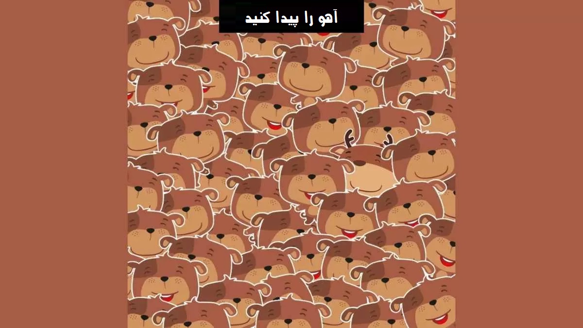 تست بینایی یافتن آهو