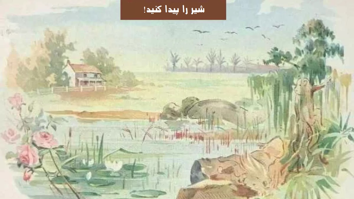 تست بینایی یافتن شیر