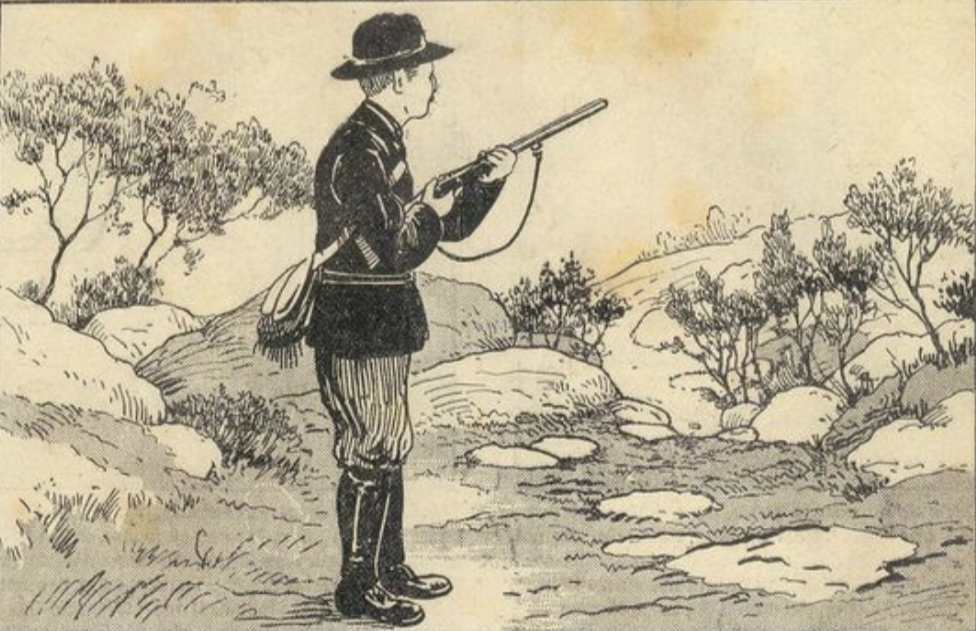 خرگوش را در تصویر پیدا کنید