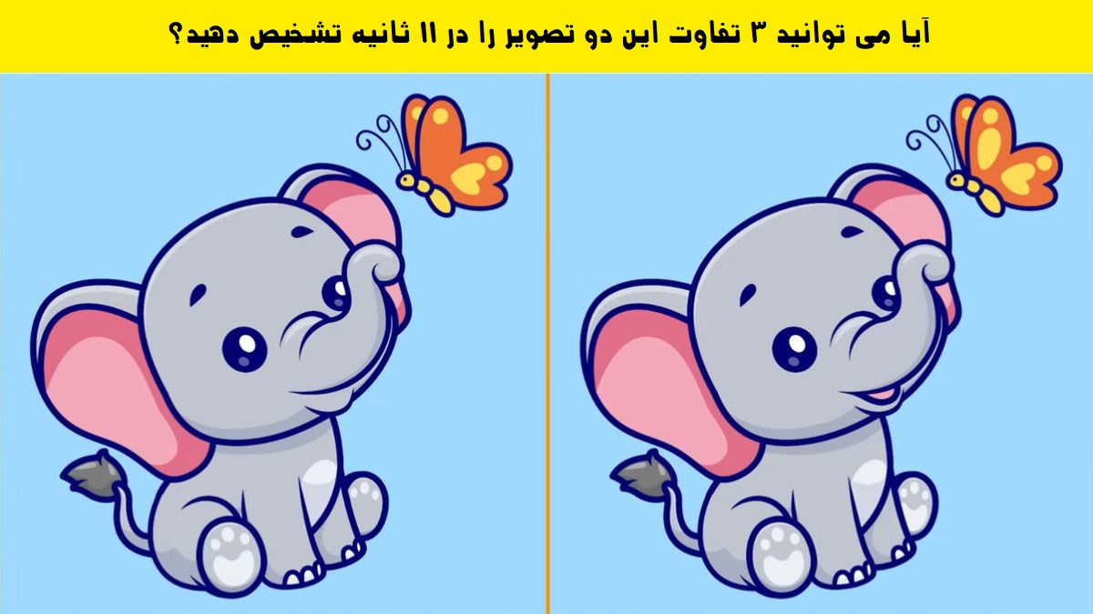 آزمون تفاوت تصویر بچه فیل