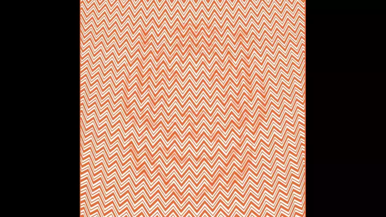 حیوان مخفی را تشخیص دهید