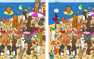 چند تفاوت در این دو تصویر وجود دارد؟ چند تفاوت در این دو تصویر وجود دارد؟