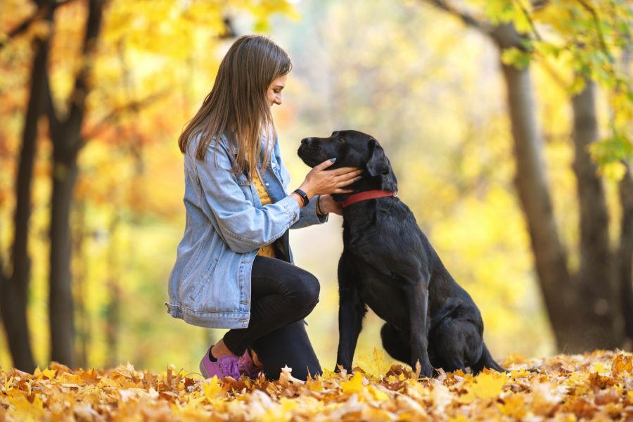 کمک حرفه ای را در نظر بگیرید