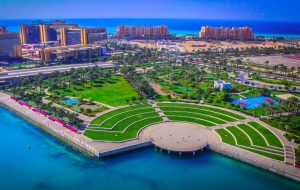 وضعیت باورنکردنی عربستان ۶ سال دیگر / آغاز کاشت ۷ میلیون درخت! + فیلم وضعیت باورنکردنی عربستان ۶ سال دیگر / آغاز کاشت ۷ میلیون درخت! + فیلم