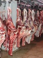 چرا گوشت گران شد؟-راهبرد معاصر