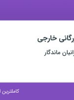 استخدام کارشناس بازرگانی خارجی در پیام صنعت ایرانیان ماندگار در تهران