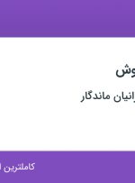 استخدام کارشناس فروش در پیام صنعت ایرانیان ماندگار در بهارستان تهران