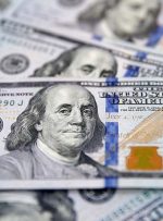 ۲۰ میلیارد دلار ارز خانگی داریم