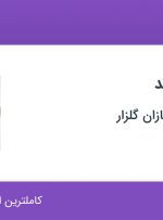 استخدام حسابدار ارشد در خدماتی زیبا سازان گلزار در تهران