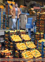 وعده جدید درباره قیمت میوه شب عید