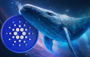 عرض اندام کاردانو در برابر اتریوم! پیش‌بینی‌های صعودی برای ADA محقق می‌شوند؟