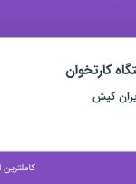 استخدام پشتیبان دستگاه کارتخوان در کارت اعتباری ایران کیش در سمنان