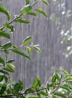 بارش شدید باران و تگرگ در دهلران + فیلم