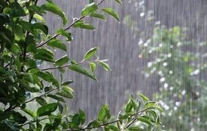 بارش شدید باران و تگرگ در دهلران + فیلم