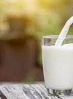 روزانه دو لیوان شیر بنوشید