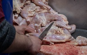 مرغ ۵۸ هزار تومان شد/ جزییات تغییر قیمت گوشت مرغ