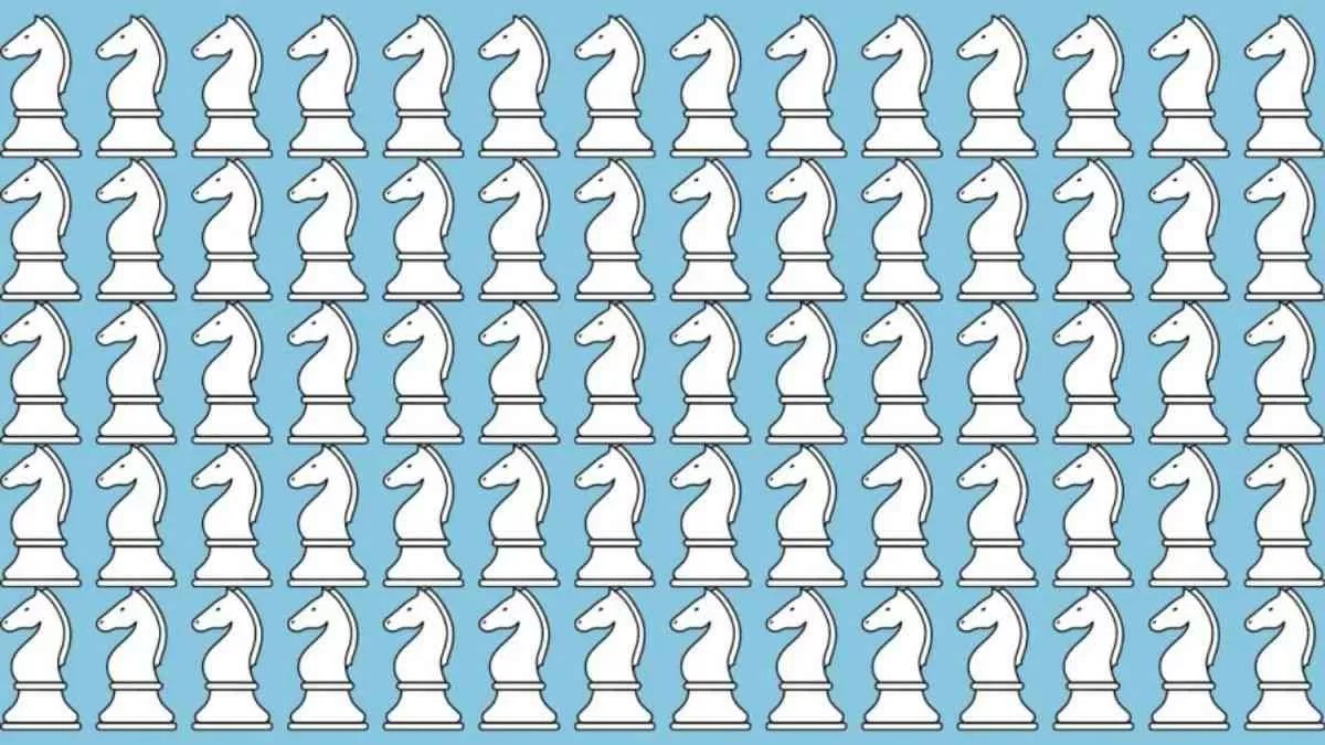 کدام مهره از بقیه فرق دارد؟