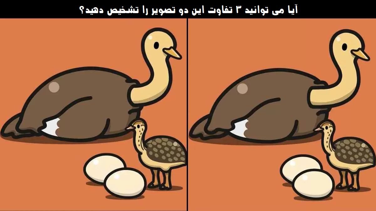 تفاوت ها را تشخیص دهید