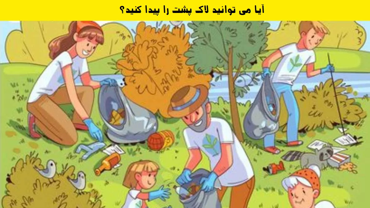 لاک پشت کجاست