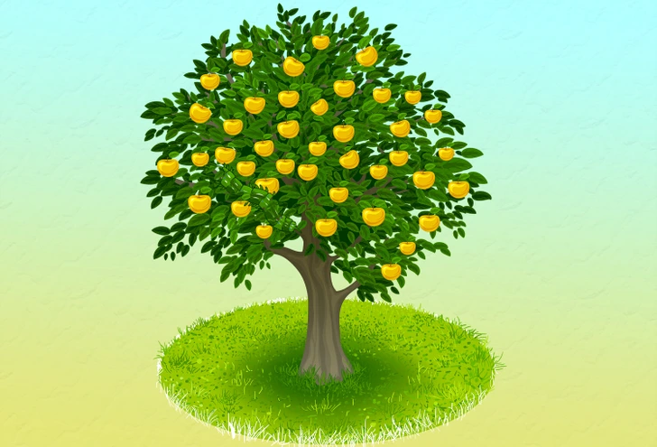 کرم روی درخت را پیدا کنید