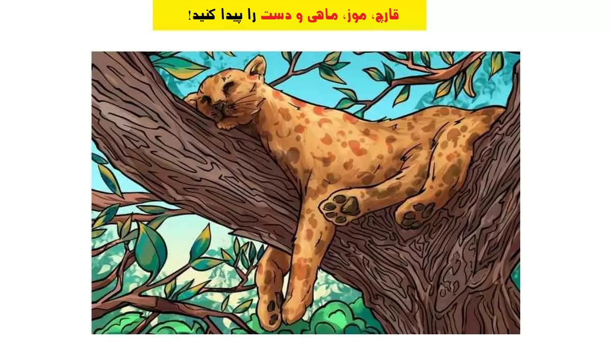 تصویر آزمون یافتن اشیا