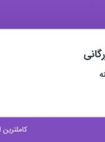 استخدام کارشناس بازرگانی در معدن کاران رینه در محمودیه تهران