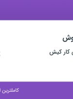 استخدام کارشناس فروش در آمیتیس شیمی کار کیش در محدوده امانیه تهران