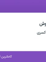 استخدام کارشناس فروش در صنایع نظافتی کسری در شیخ هادی تهران