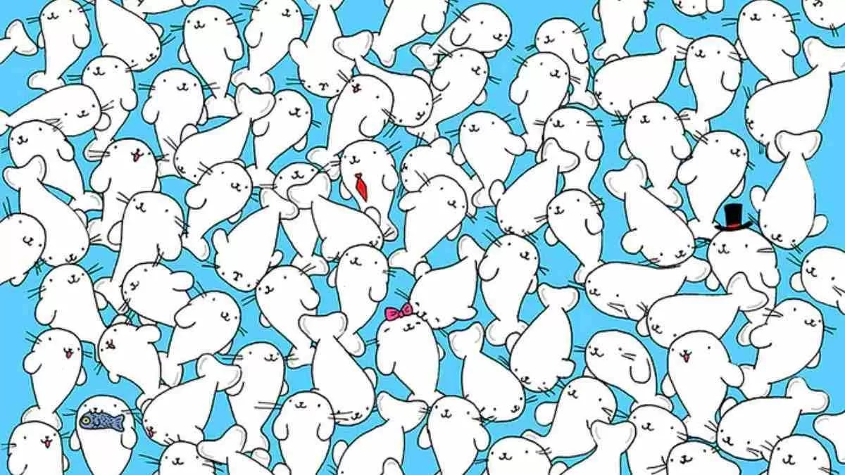 آزمون یافتن مارشملو