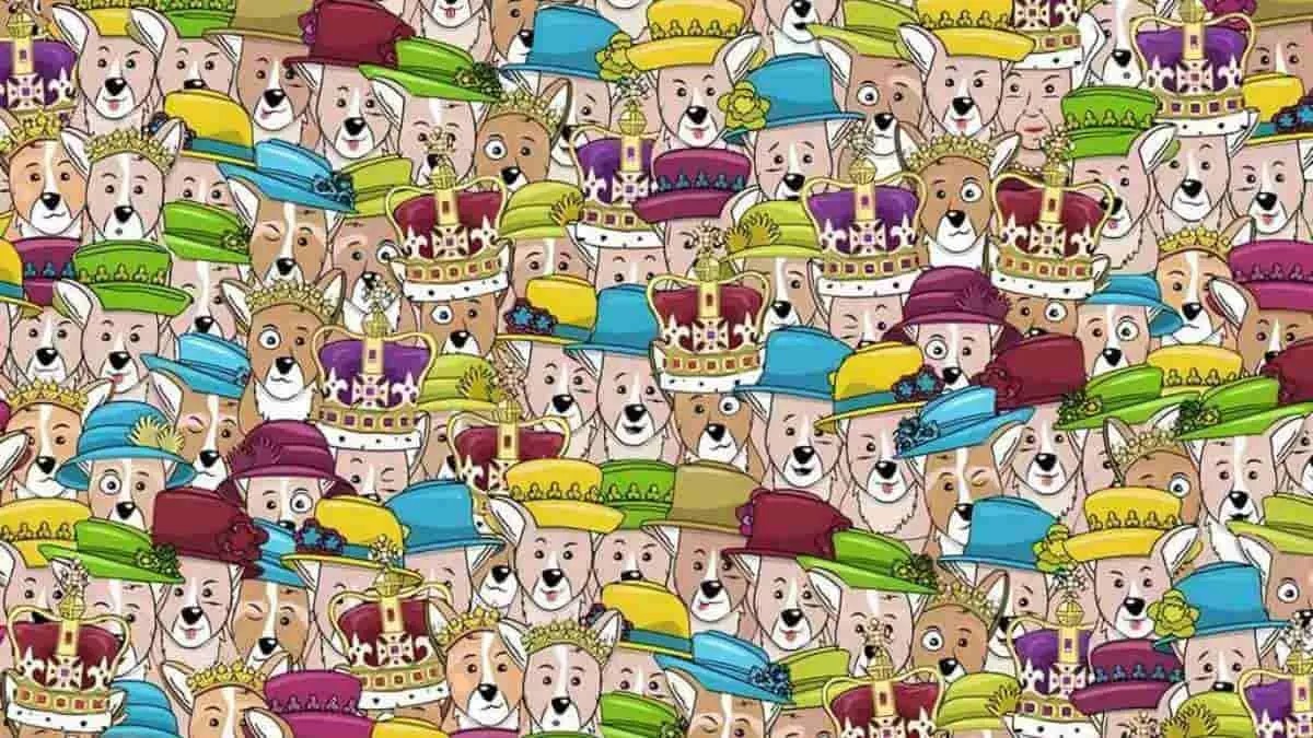 تصویر تست بینایی یافتن ملکه