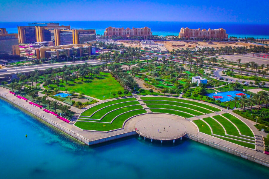 وضعیت باورنکردنی عربستان ۶ سال دیگر / آغاز کاشت ۷ میلیون درخت! + فیلم وضعیت باورنکردنی عربستان ۶ سال دیگر / آغاز کاشت ۷ میلیون درخت! + فیلم