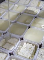 پنیر لیقوان و تبریز در میادین کیلویی چند؟ / قیمت انواع پنیر محلی و بسته بندی را ببینید