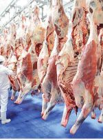لاشه گوساله کیلویی ۲۸۰ هزار تومان شد/ جزییات تغییر قیمت گوشت