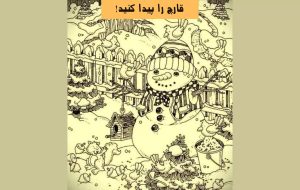 تست بینایی: آیا می توانید قارچ را پیدا کنید؟