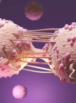 علت ابتلا به سرطان سینه چیست؟/ آیا این بیماری قابل درمان است؟