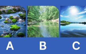 کنجکاوی یا بی تفاوت؟ یه رودخونه رو انتخاب کن تا برات بگم! کنجکاوی یا بی تفاوت؟ یه رودخونه رو انتخاب کن تا برات بگم!