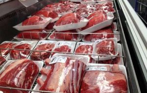 گوشت ۲۳۰ هزار تومانی وارد بازار شد/ جزییات عرضه گوشت ارزان