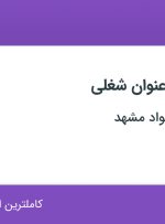 استخدام ۱۰ عنوان شغلی در هتل مدینه الجواد مشهد در خراسان رضوی