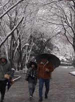 ویدیو/ بارش اولین برف زمستانی در اصفهان و بیرجند