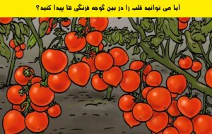 تو چهار ثانیه قلب رو پیدا کن و ثابت کن که چشم‌هات قدرت فوق‌العاده ای دارن!