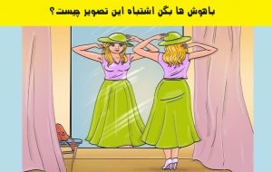 باهوش ها بگن اشتباه این تصویر چیه (فقط ۱۰ ثانیه وقت داری)