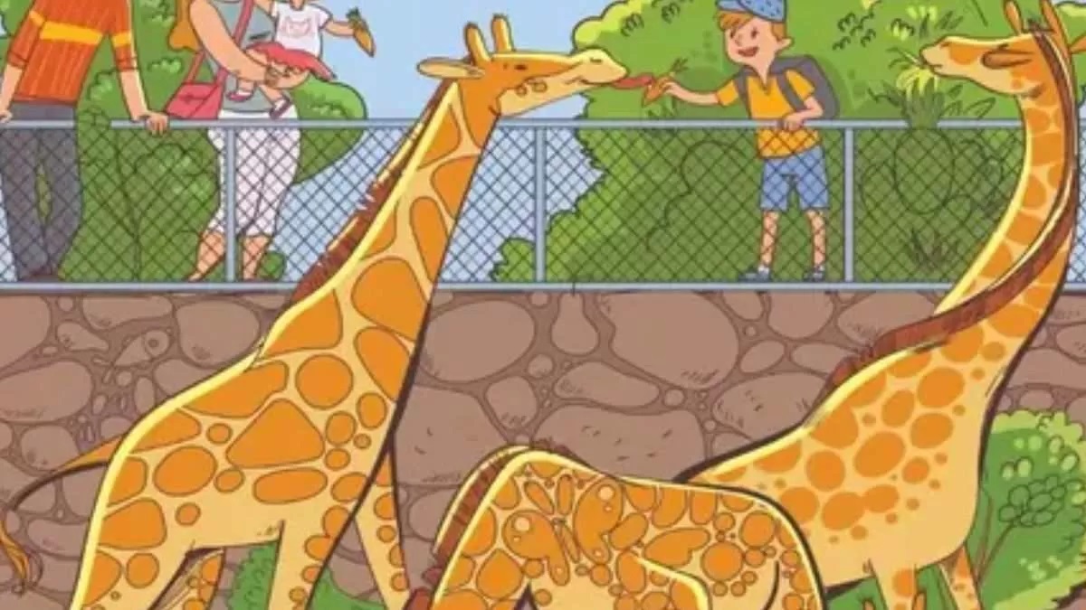 پروانه و آناناس را پیدا کنید