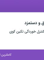 استخدام مسئول حقوق و دستمزد در بازرسی فنی و کنترل خوردگی تکین کوی در تهران