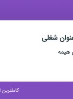 استخدام کارشناس حسابداری مسلط به هلو و بازاریاب و ویزیتور در تهران