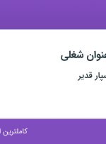 استخدام کارشناس فروش و بازاریاب و ویزیتور در تهران
