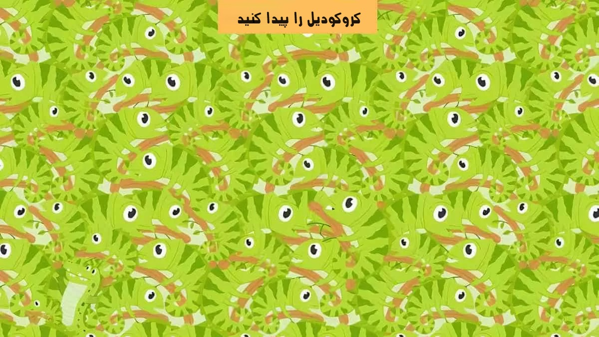 کروکودیل را پیدا کنید